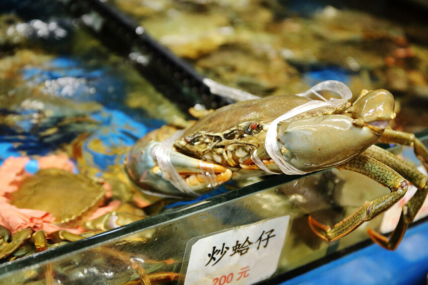 【梧棲漁港海鮮餐廳推薦】鹿港平價海鮮,代客料理價格親民,海鮮 【梧棲漁港海鮮餐廳推薦】鹿港平價海鮮,代客料理價格親民,海鮮