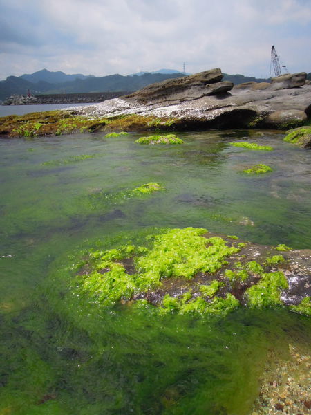 ▌東北角輕旅行 • 南雅奇岩 ▌薇拉小公主口袋裏的台灣秘境129之3 • 台2甲旁走彩繪風的奇岩嶙峋 ...