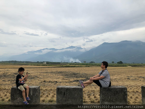 圓圓家出去玩-《台東景點》池上天堂路，不只ㄧ顆金城武樹，寬闊田園與山景，美的就像一幅畫