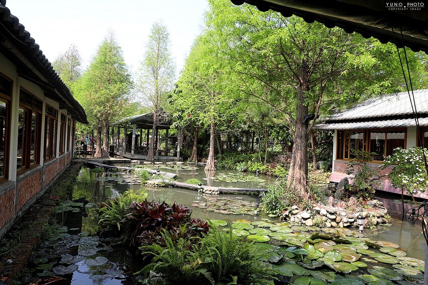隱身市區的絕美「落羽松秘境」景觀網美餐廳VS古早味農家菜 台中南屯寵物友善餐廳｜田寮農莊