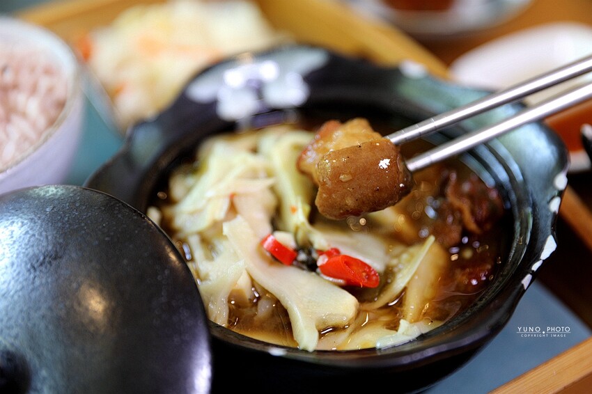 隱身市區的絕美「落羽松秘境」景觀網美餐廳VS古早味農家菜 台中南屯寵物友善餐廳｜田寮農莊