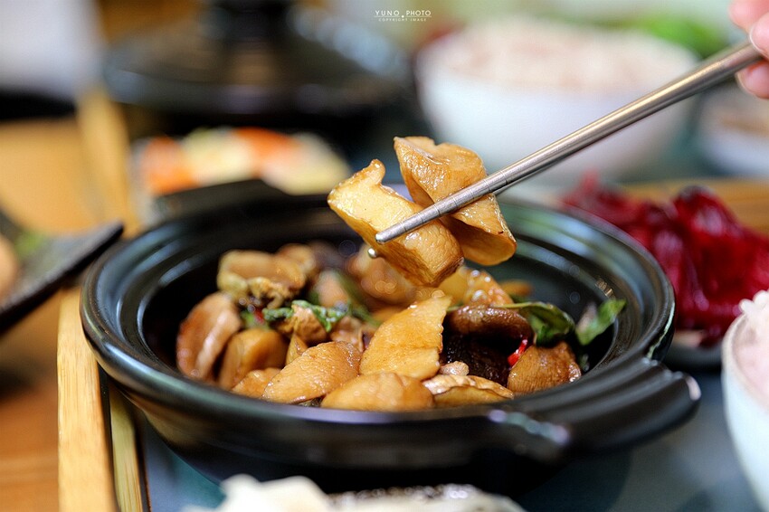 隱身市區的絕美「落羽松秘境」景觀網美餐廳VS古早味農家菜 台中南屯寵物友善餐廳｜田寮農莊