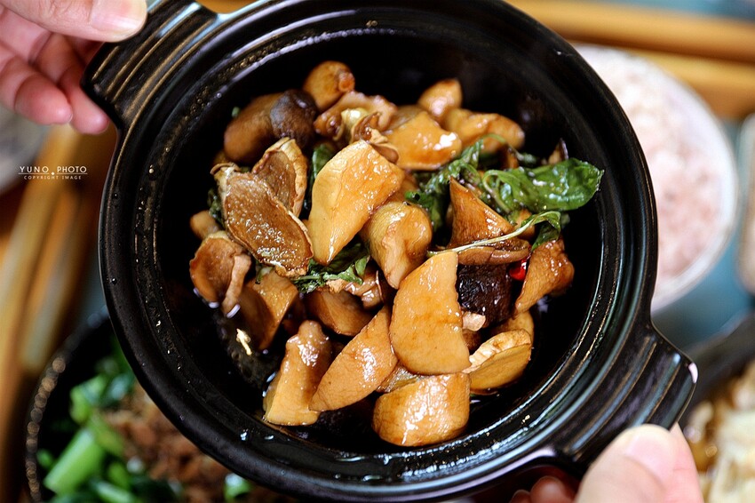 隱身市區的絕美「落羽松秘境」景觀網美餐廳VS古早味農家菜 台中南屯寵物友善餐廳｜田寮農莊