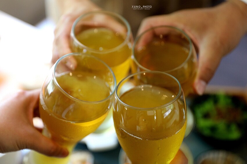 隱身市區的絕美「落羽松秘境」景觀網美餐廳VS古早味農家菜 台中南屯寵物友善餐廳｜田寮農莊