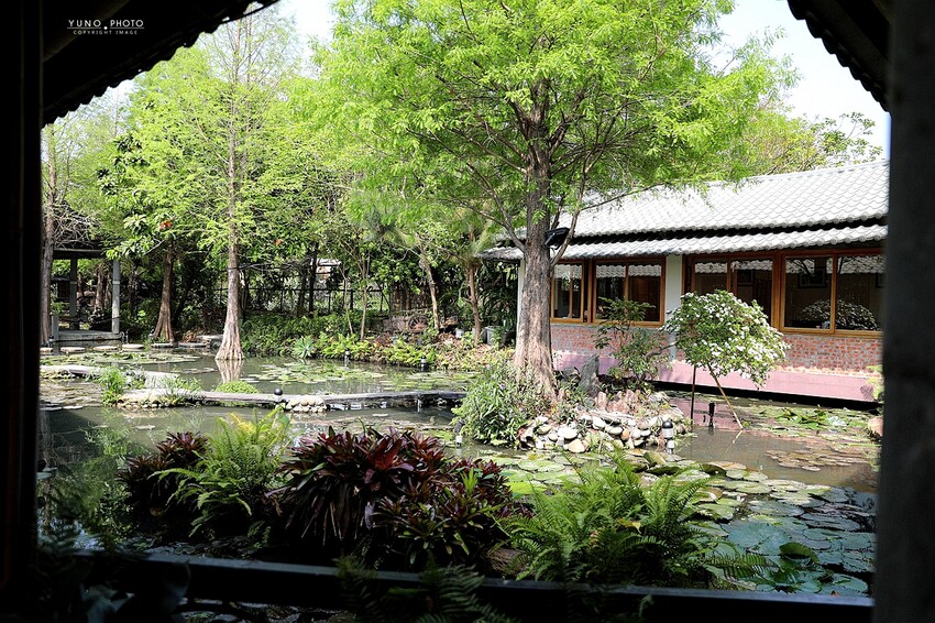 隱身市區的絕美「落羽松秘境」景觀網美餐廳VS古早味農家菜 台中南屯寵物友善餐廳｜田寮農莊