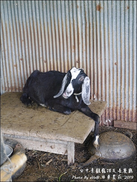 田寮農莊-24.jpg 田寮農莊-24.jpg