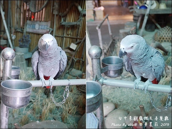 田寮農莊-07.jpg 田寮農莊-07.jpg