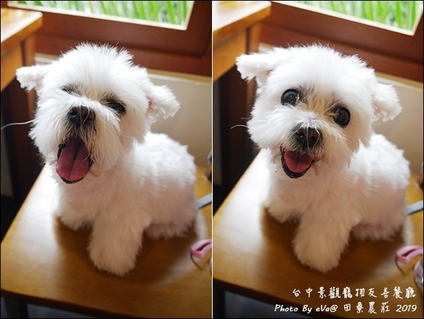 田寮農莊-49.jpg 田寮農莊-49.jpg