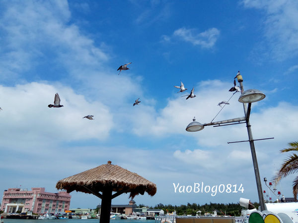 漁人碼頭 (5).jpg