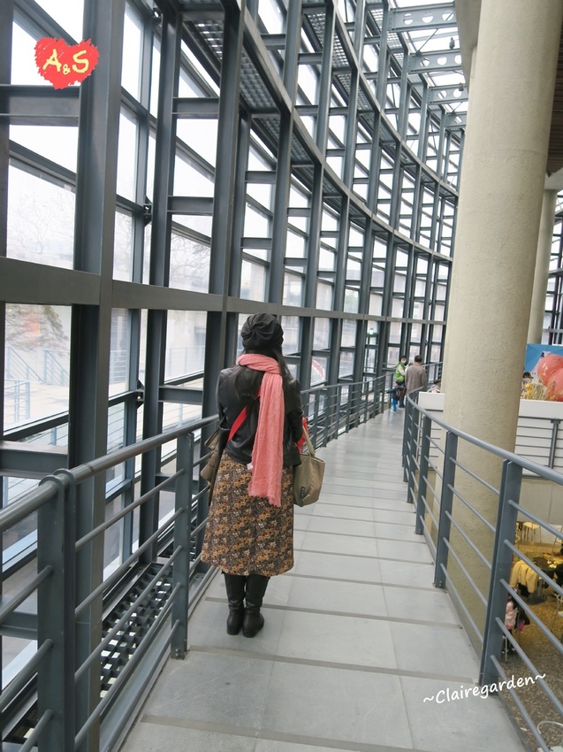 IMG_0620.JPG IMG_0620.JPG