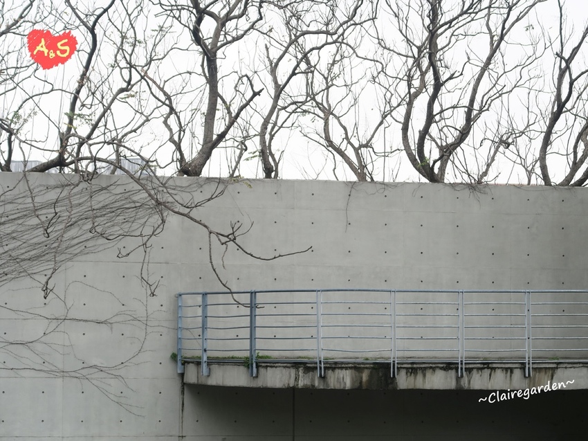 IMG_0702.JPG IMG_0702.JPG