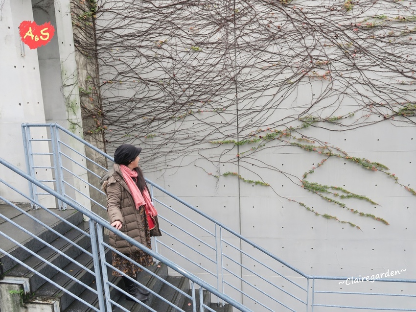 IMG_0695.JPG IMG_0695.JPG