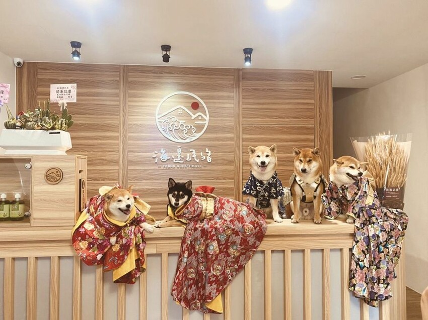 海邊民宿 Hibnb Guesthouse l 寵物友善旅宿-3