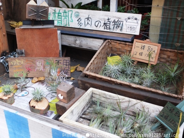 府中街：【旅行遊記。台南中西區】台南府中街。古今融合再造老街新風格 與喧鬧車水馬龍的短暫隔離