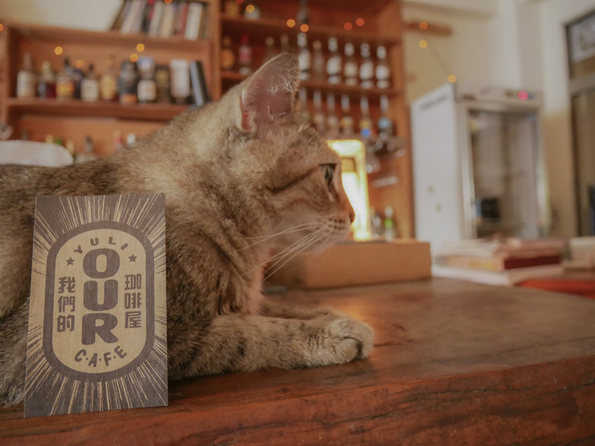 20180812-P1270575.jpg 20180812-P1270575.jpg