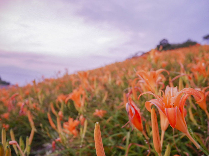 20180812-P1270658.jpg 20180812-P1270658.jpg