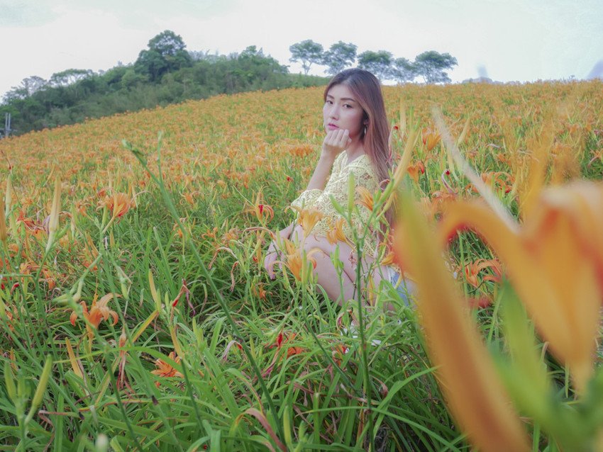 20180812-P1270617.jpg 20180812-P1270617.jpg