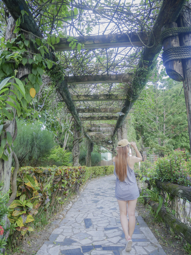 20180813-P1280084.jpg 20180813-P1280084.jpg