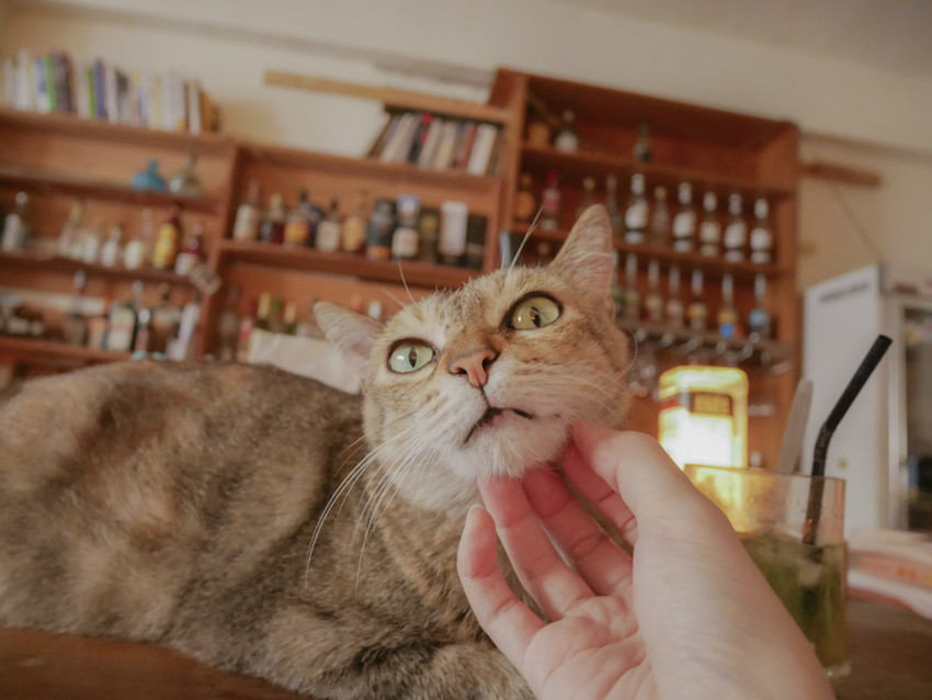 20180812-P1270572.jpg 20180812-P1270572.jpg