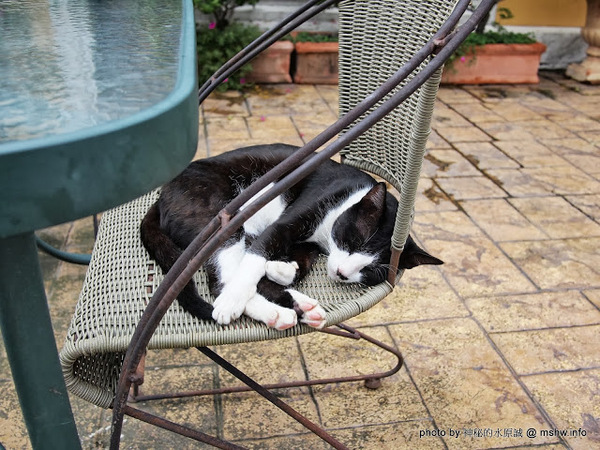 米克諾斯花園餐廳：【食記】田野中的失落莊園 @ 南投-中興新村-Mykonos 米克諾斯-經典品味花園