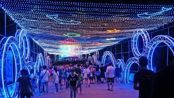 【2019澎湖國際海灣燈光節】15米大鯨魚主燈、400米星空虹橋,詳細內容介紹,完整拍攝體驗分享