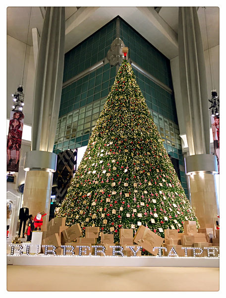 Agnes b Cafe ~ 季節限定草莓卡士達酥派+玫瑰拿鐵 - 捷運101/世貿站