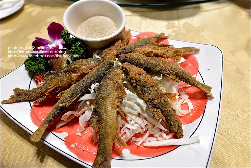 DSC_8691.JPG DSC_8691.JPG