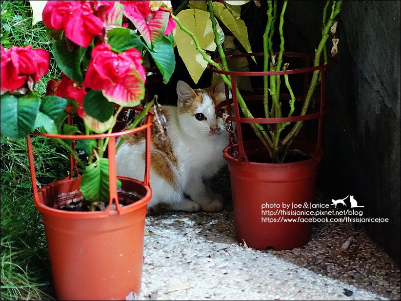 DSC08771.JPG DSC08771.JPG