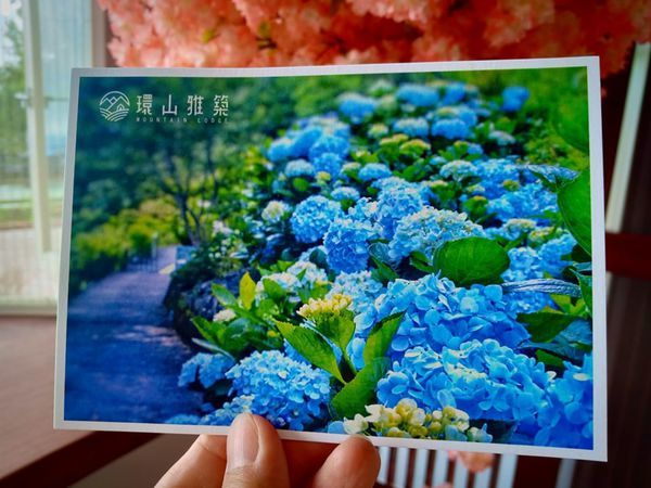 68391742_358731834794711_2552143324756574208_n