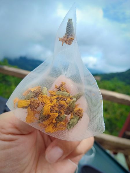 67803621_939941526349336_7903802201980534784_n