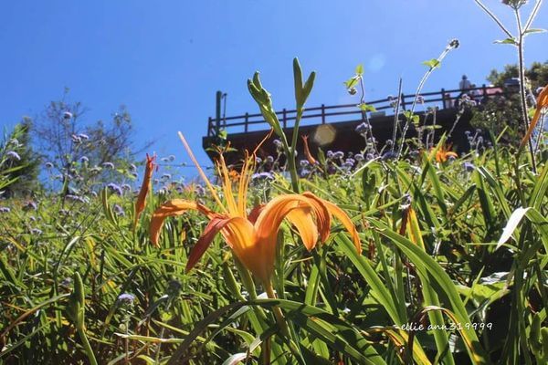 67808721_396611647635067_1764729816281513984_n