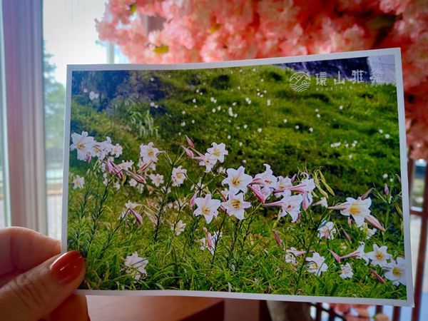 68536796_2239768633001865_62614107710291968_n