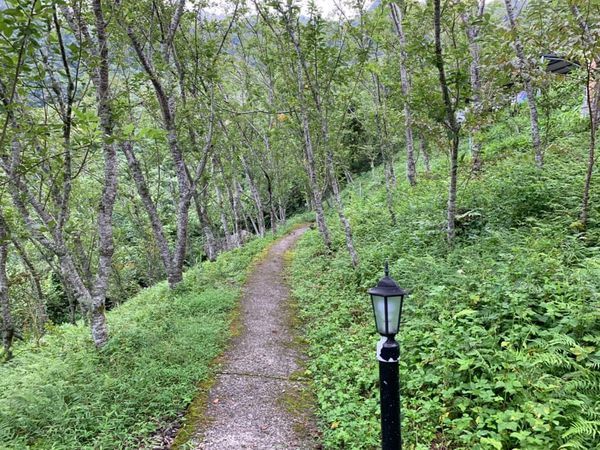 67800246_484672958990727_5874323940079304704_n