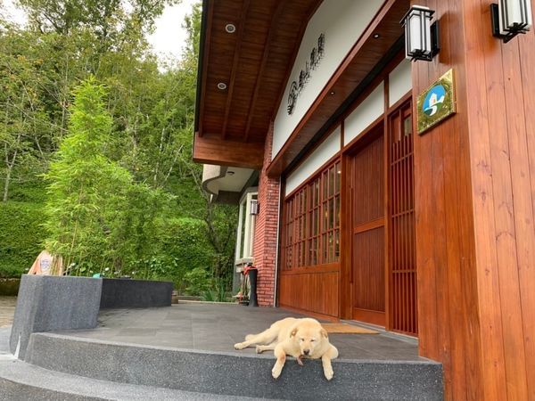 67949833_529667881107496_3279114909526261760_n