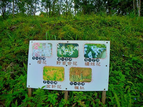 68673322_475897289625288_4703630960313237504_n