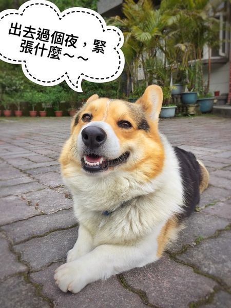 65585881_2379896038738415_39699276070125568_n