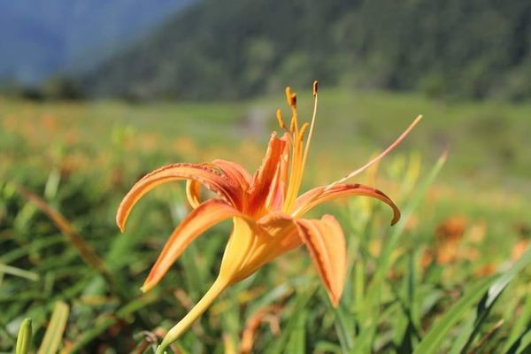 67562016_2475913549166198_8361304330258612224_n