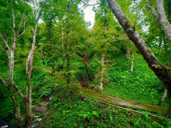 67622835_919928621686234_5803598357133787136_n