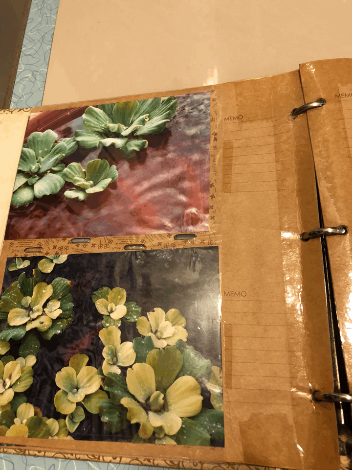 【台東】太麻里金針山「環山雅築」美不勝收，實如其名-住宿篇