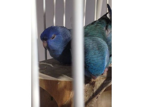 u*ki smile coffee:【食記】o○。oO。台北 東區u*ki smile coffeeo○。o。○ u*ki smile coffee:【食記】o○。oO。台北 東區u*ki smile coffeeo○。o。○