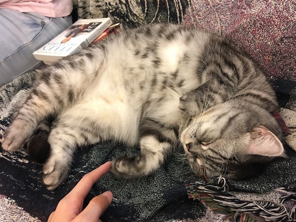 IMG_7044.JPG IMG_7044.JPG