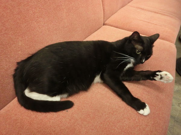 IMG_7049.JPG IMG_7049.JPG