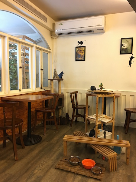 IMG_7037.JPG IMG_7037.JPG