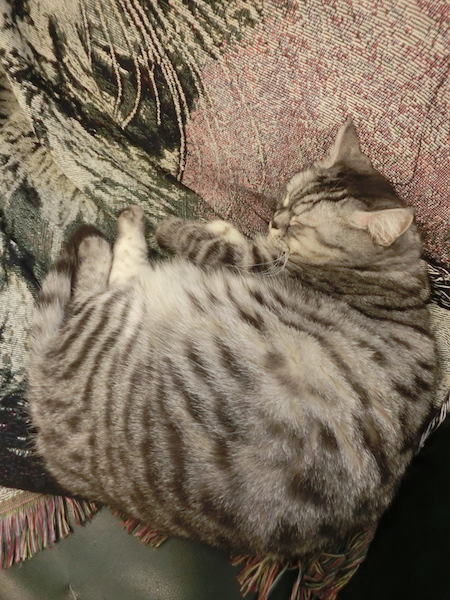 IMG_7048.JPG IMG_7048.JPG