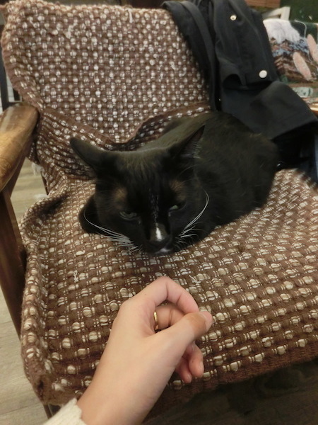 IMG_7046.JPG IMG_7046.JPG