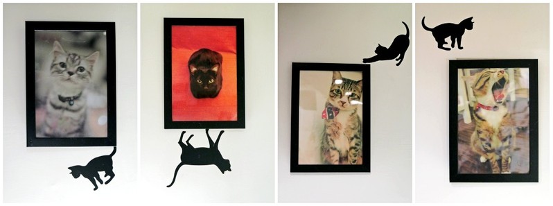 【捷運忠孝復興站】貓咪先生的朋友 ~美式早午餐/下午茶，有貓咪坐鎮的可愛小店♥