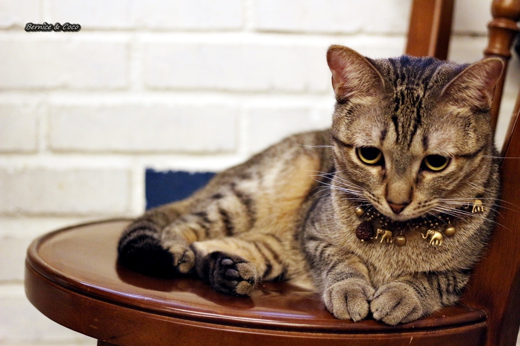 IMG_9697.JPG IMG_9697.JPG