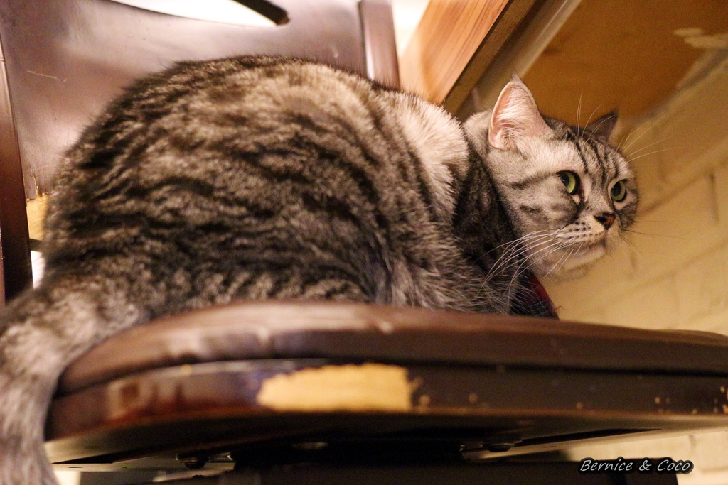 IMG_9684.JPG IMG_9684.JPG