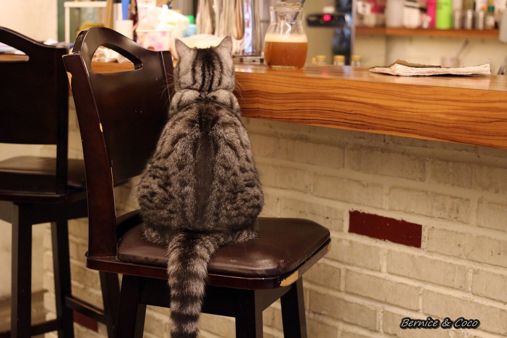 IMG_9682.JPG IMG_9682.JPG