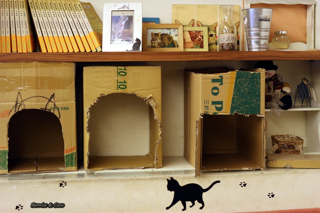 IMG_9708.JPG IMG_9708.JPG